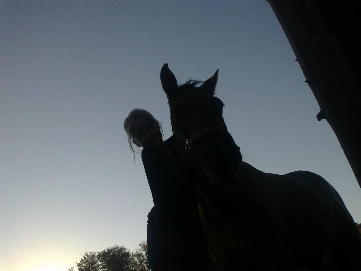 Anden særlig race Sweedy<3 - Syntes bare det billed siger alt<3 billede 2