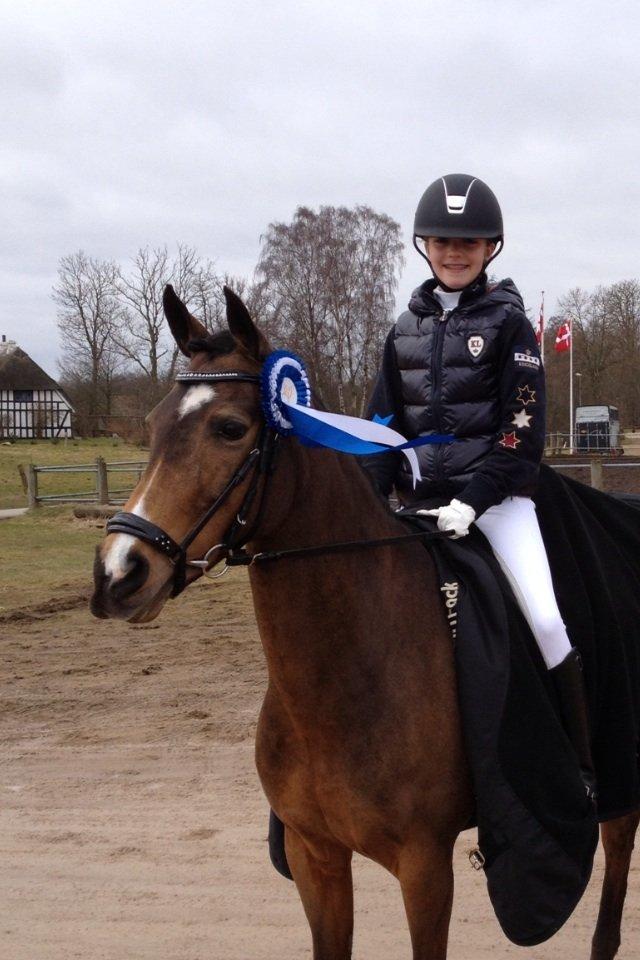 New Forest Orchid's Sheila B-pony - Sheila og jeg til vores første stævne sammen <3 TAK FOR KIGGET <3 :) billede 8