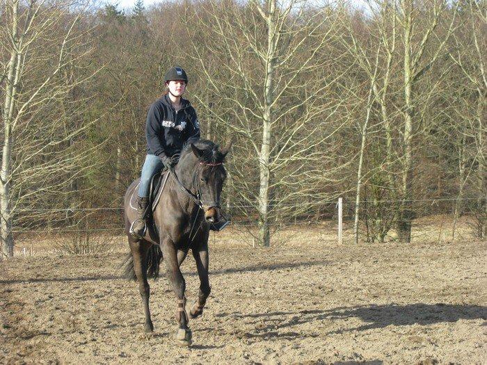 Holstener Unalaska billede 8