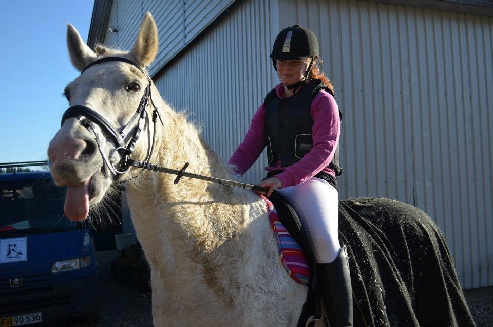 Pinto Marcia<3(Divaen<3) - For lækker til love!<3<3 billede 16