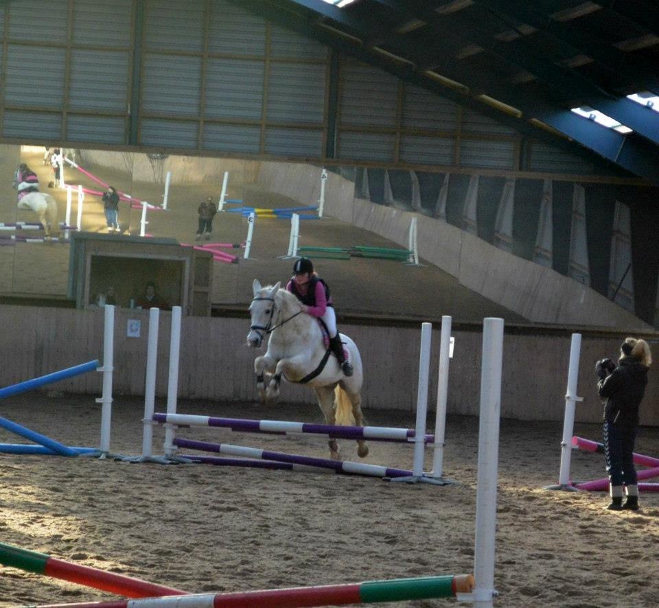 Pinto Marcia<3(Divaen<3) - Mig og Marcia til stævne på skrødstup. her over 50 cm<3 billede 7