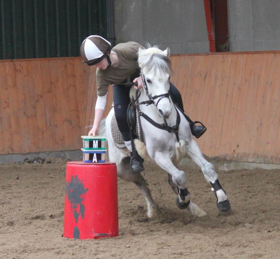 Welsh Pony (sec B) Oddens Pigatju. S - U17 Udtagelse 2013
Foto: Liv Møller billede 17