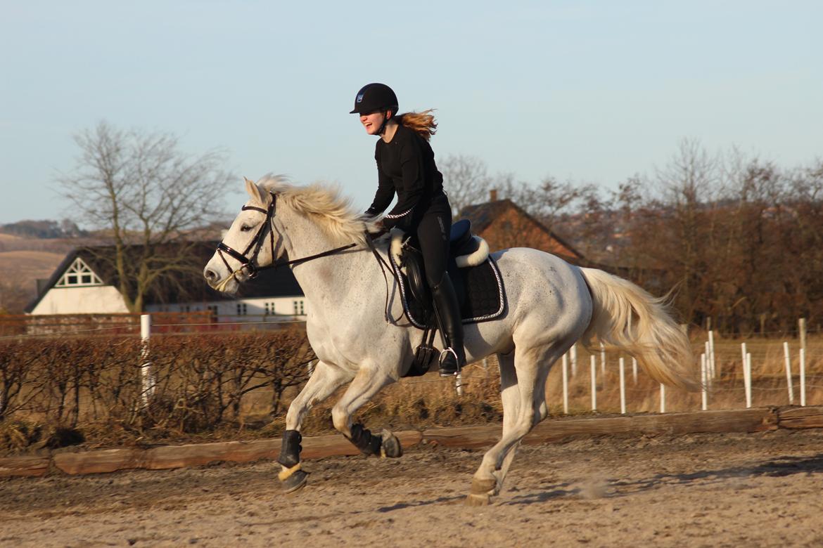 Connemara Hesselholt's Casano B-pony billede 22