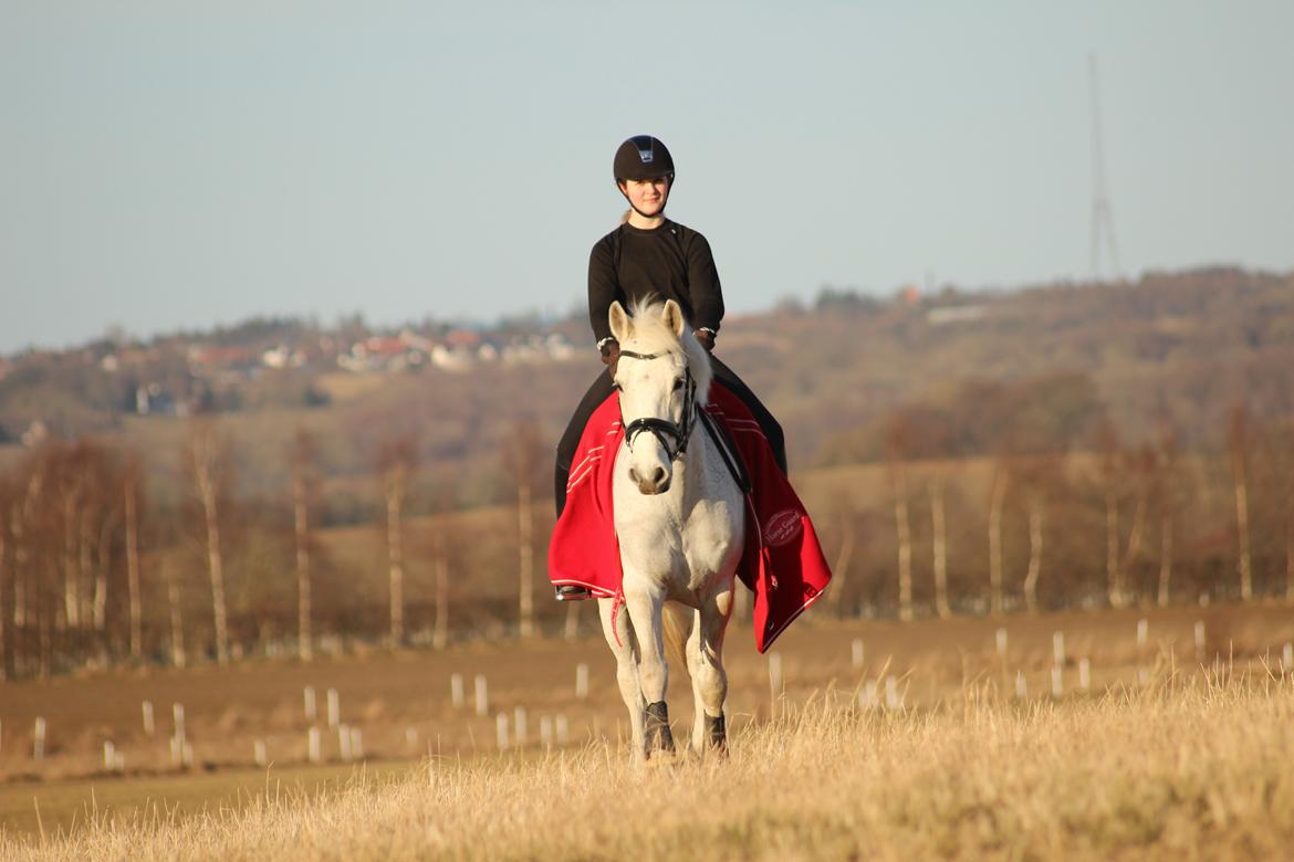 Connemara Hesselholt's Casano B-pony billede 24