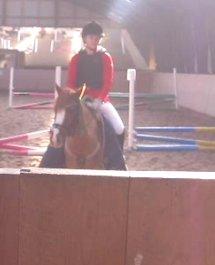 DSP HORSMARKS DIVA DUCHESS - SOLGT! billede 16