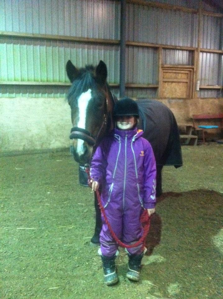 New Forest Odbjergs Amelie billede 8