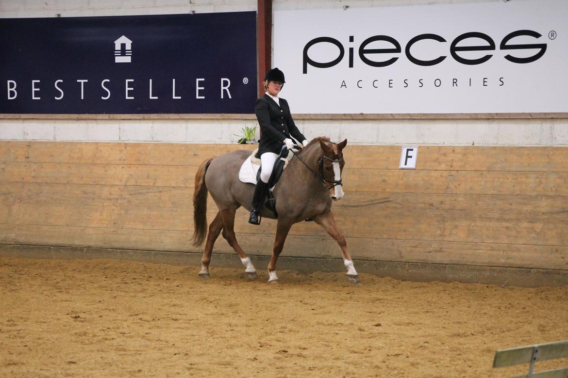 DSP Foxtrot billede 3