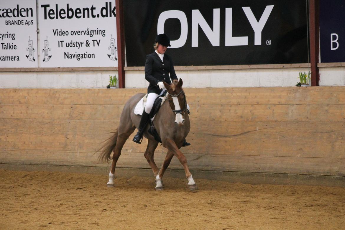 DSP Foxtrot billede 9