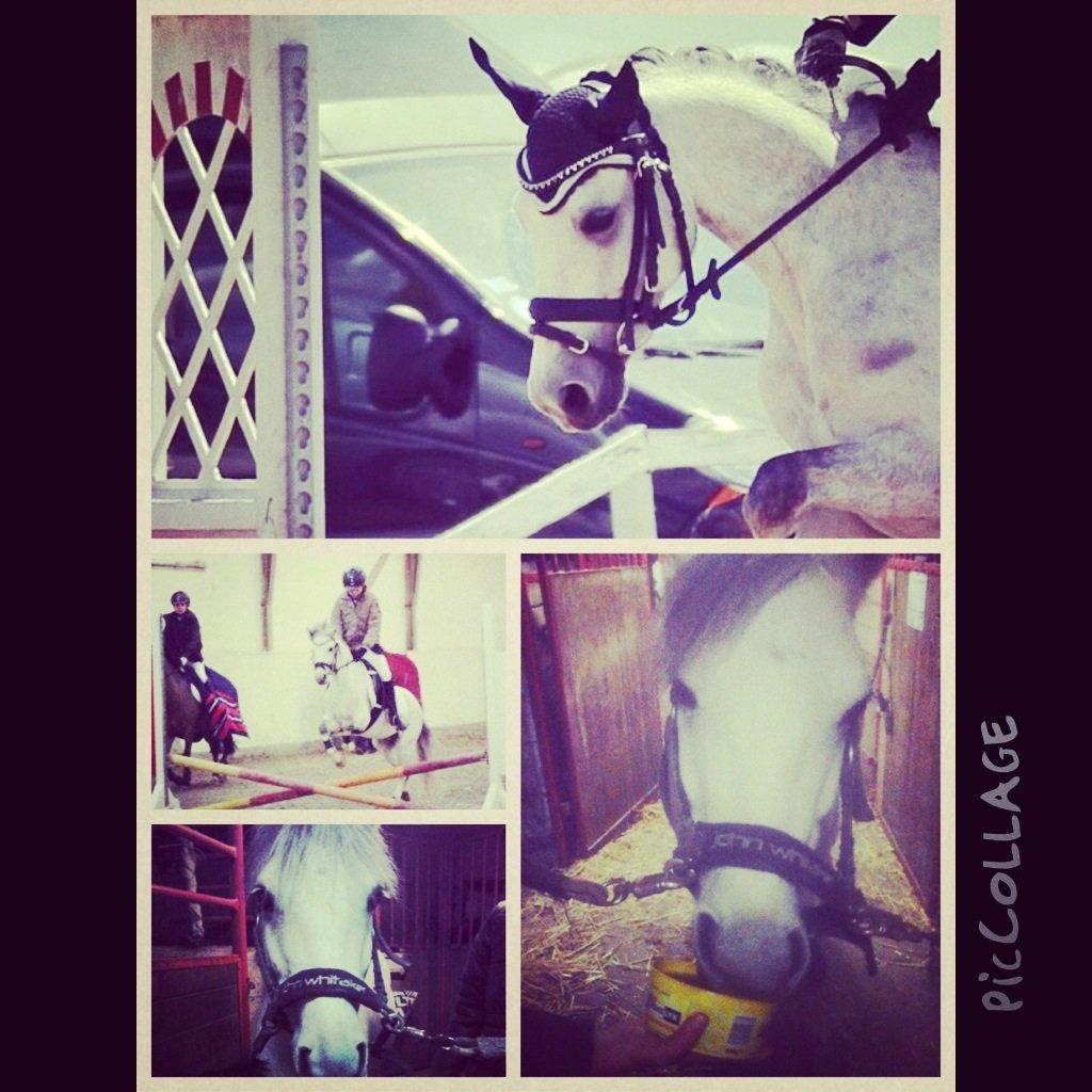 Anden særlig race Vestergårds FILUR<3 (MY LOVE) - Mor har taget billeder af mig :-):-) billede 7