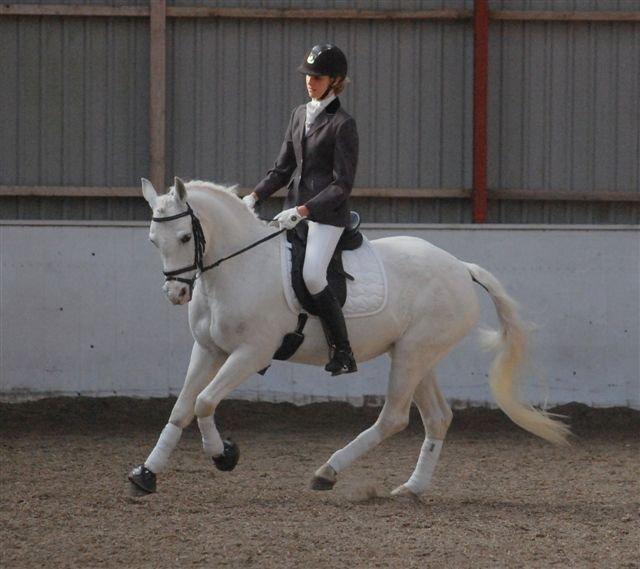 Connemara Fiona Hedelund - Den bedste <3 billede 12