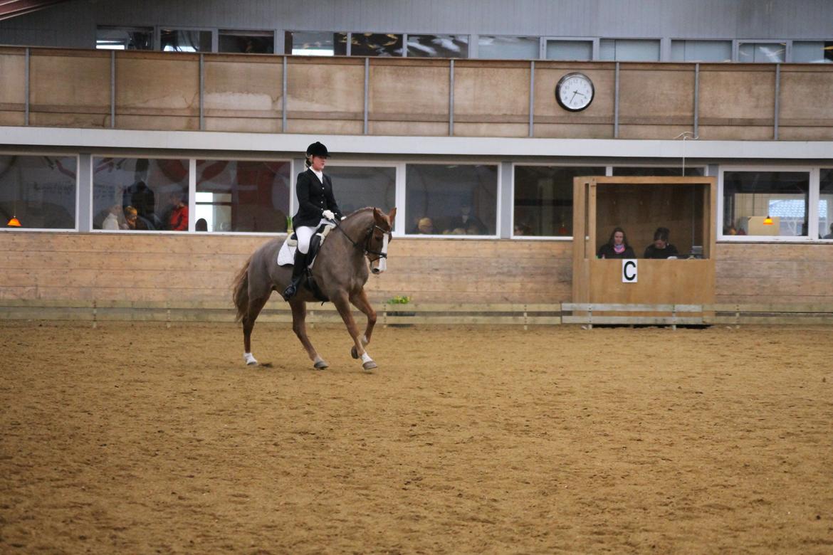 DSP Foxtrot billede 17