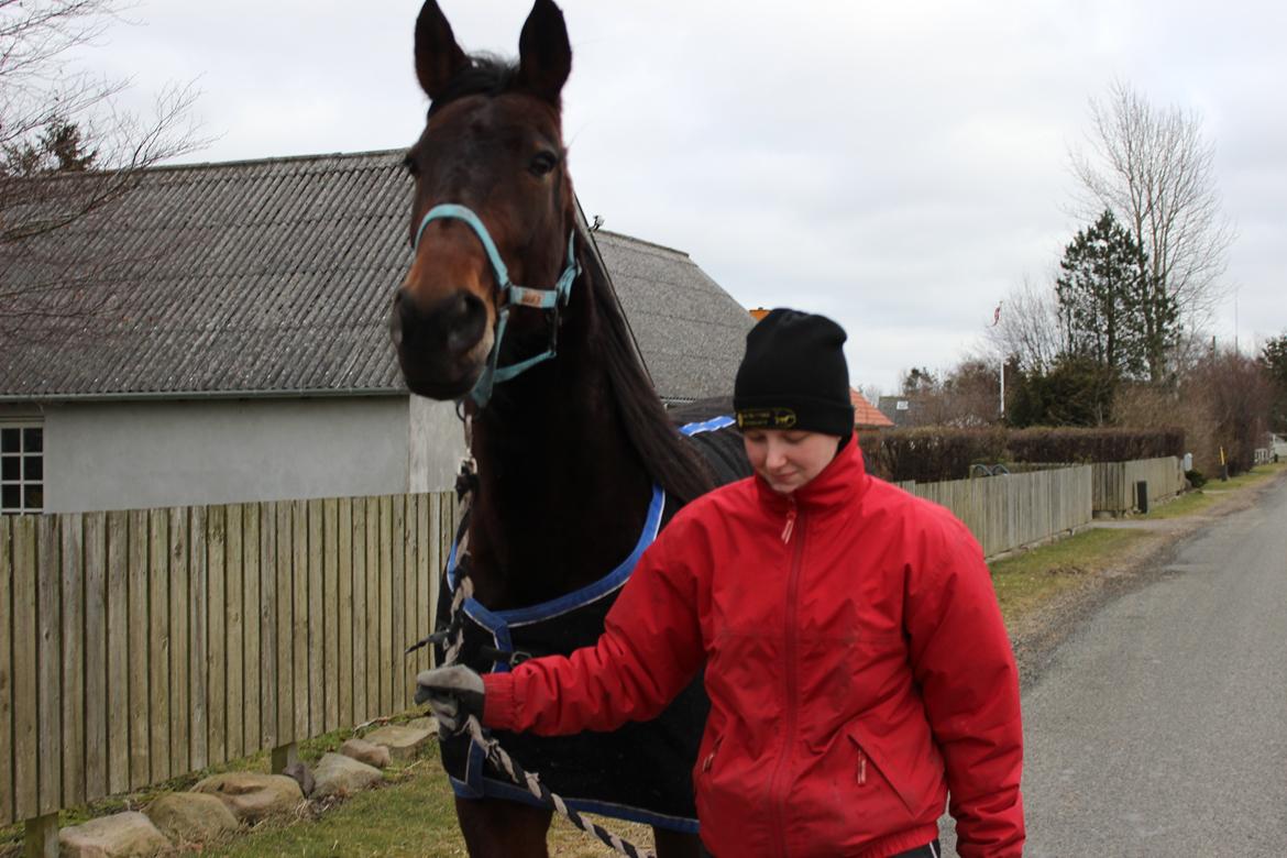 Traver Odin Toft - på vej ned og køre :) billede 15