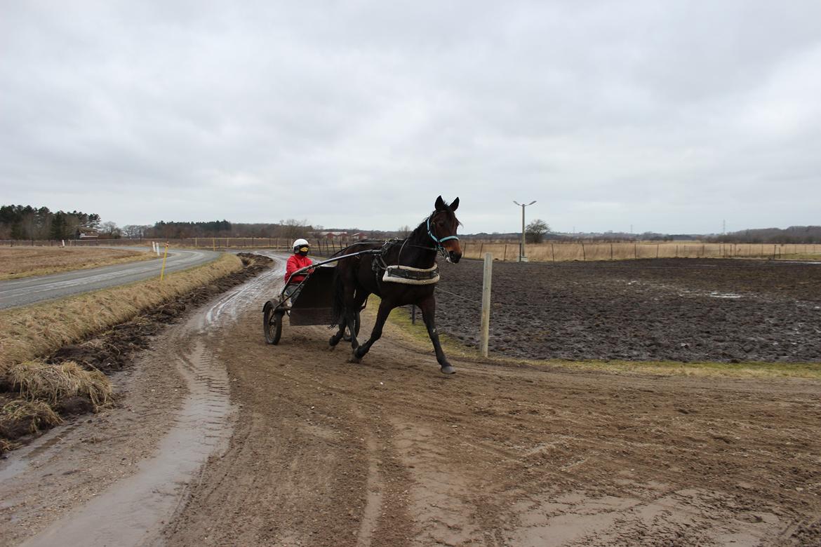 Traver Odin Toft - ude og køre Odin for første gang :D billede 4
