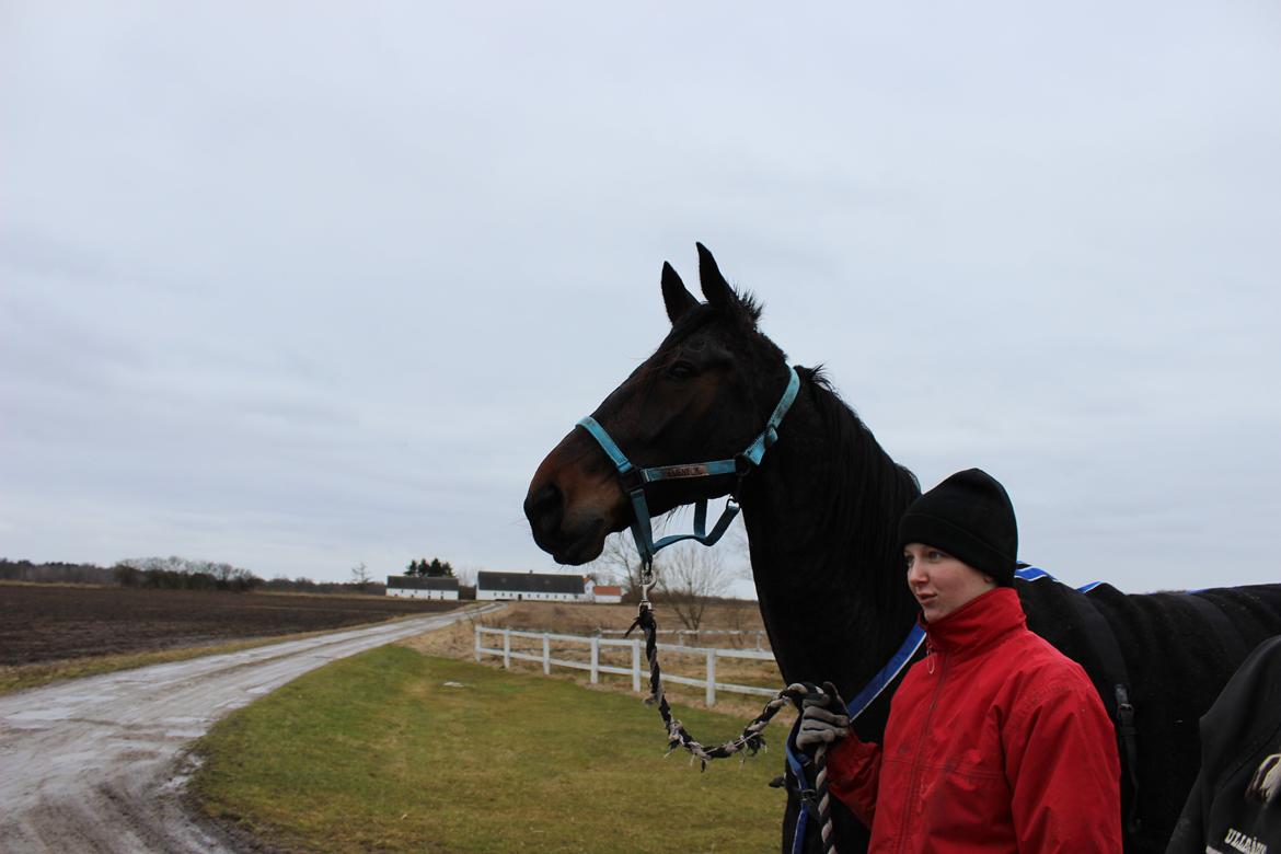 Traver Odin Toft - På vej hjem :D  billede 20