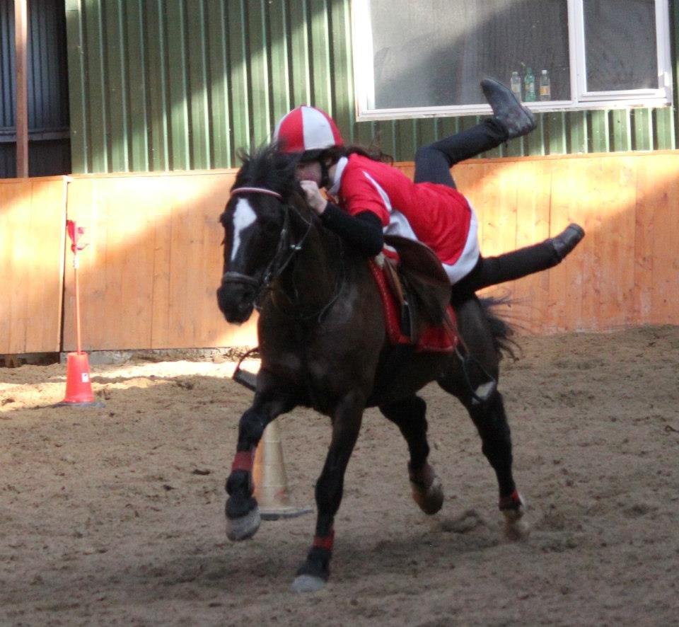 Hollandsk Sportspony Jimmy - Landsholdsudtagelse til u17 2013 <3 Jimmy billede 8