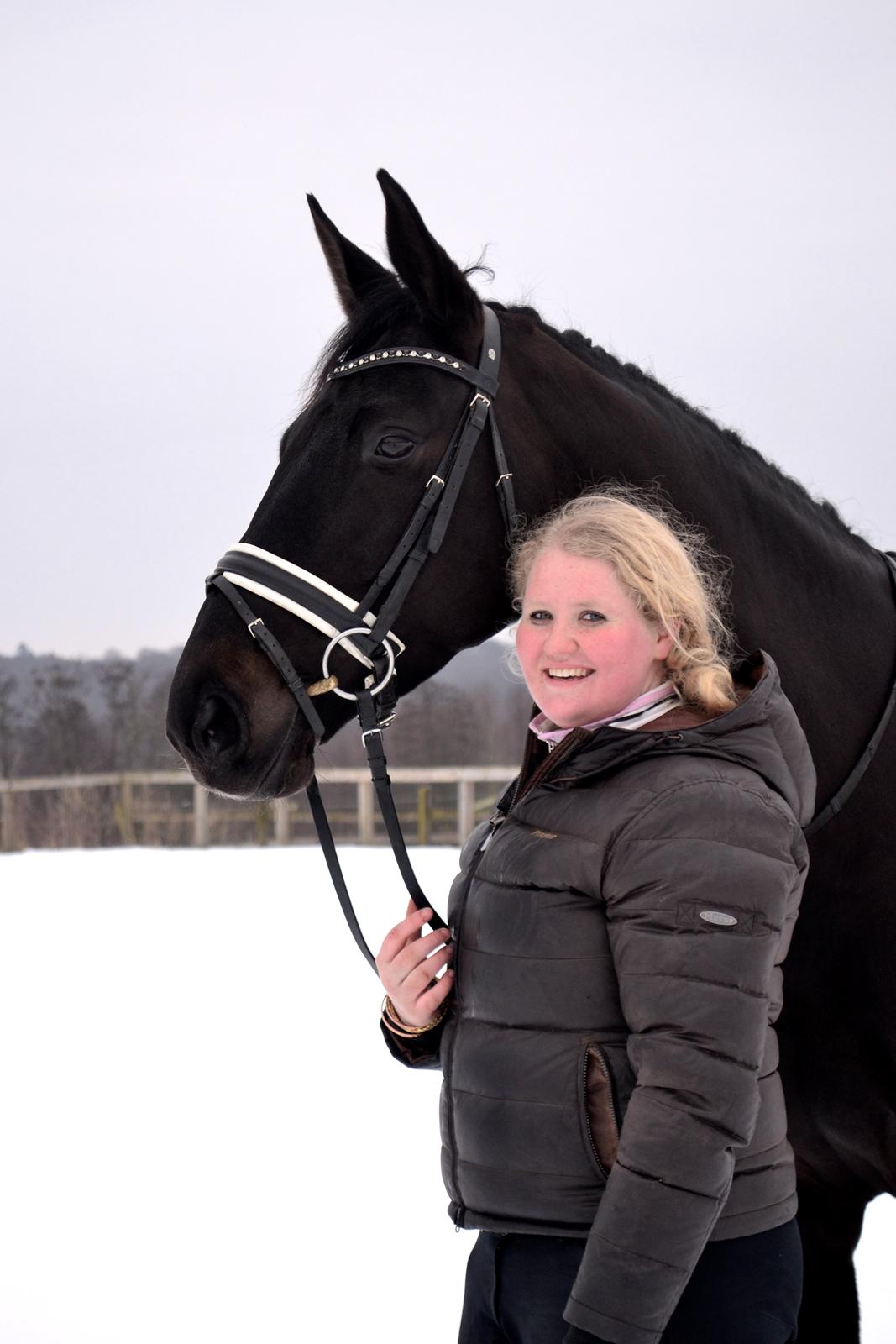 Trakehner Lefitia "Effie"  billede 19