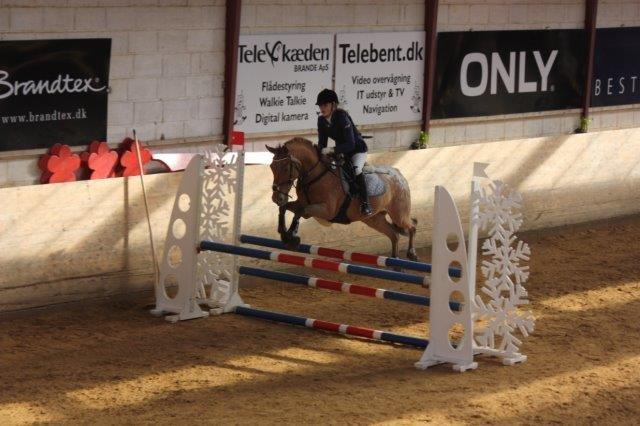 Knabstrupper Skovgårdens Rollo<3 (SOLGT) - LB** i Brande - Min stjerne<3 Kom  på en 2. plads! billede 9