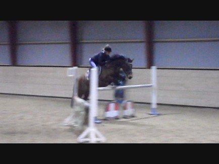 Anden særlig race Shja-shje billede 2