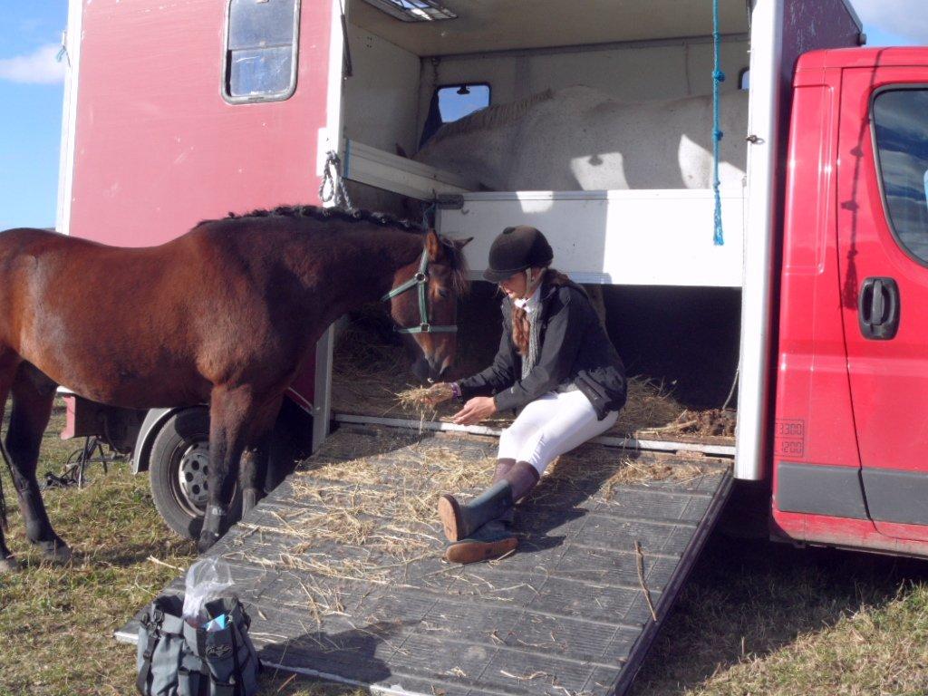 Anden særlig race Shja-shje billede 6