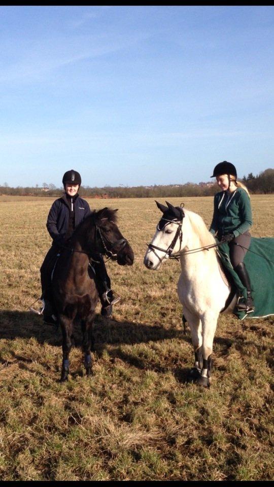 Anden særlig race Mickey billede 17