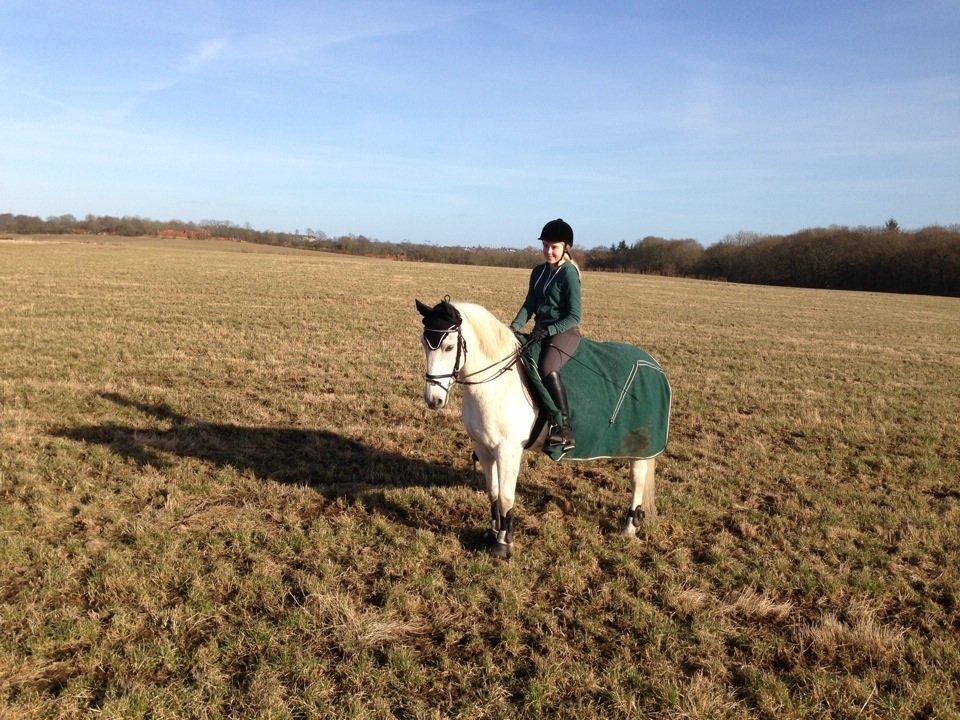 Anden særlig race Mickey billede 18