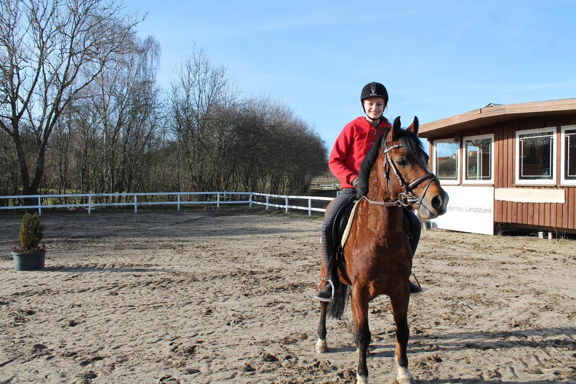 Tysk Sportspony Prop (Premiat) - Du er dejlig <3 
3/3-13 billede 4