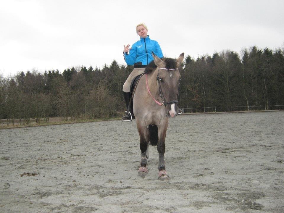 Oldenborg / Fjordhest    La Toya - Bling bling og blær ;) billede 18