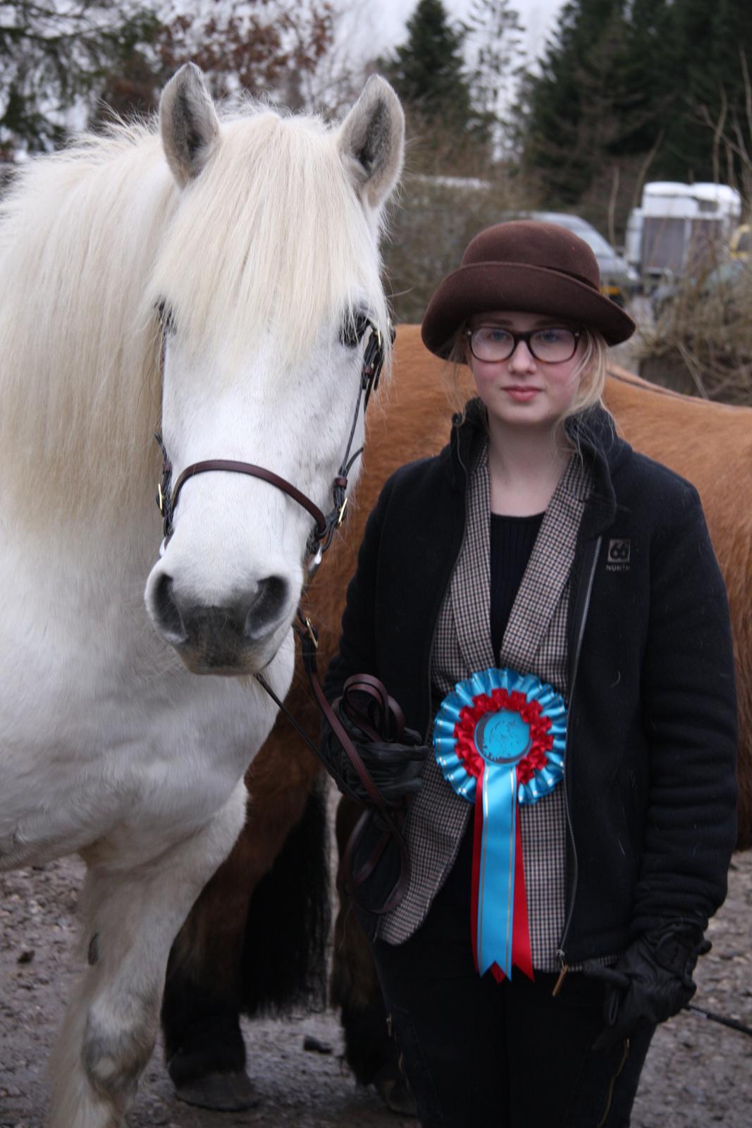 Highland Pony Kira billede 2