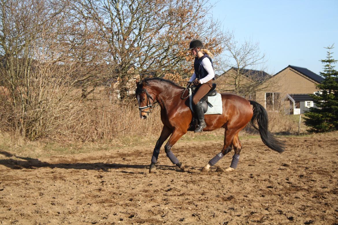 Oldenborg Narnio Roi billede 38