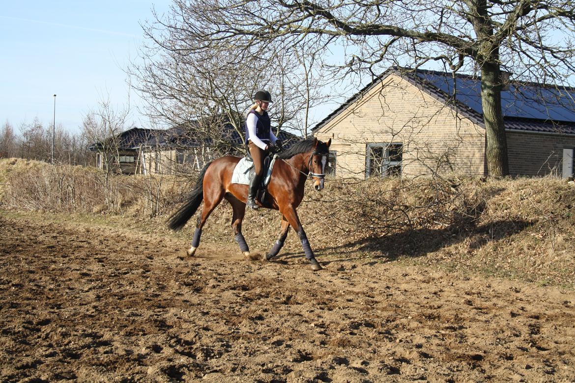 Oldenborg Narnio Roi billede 21