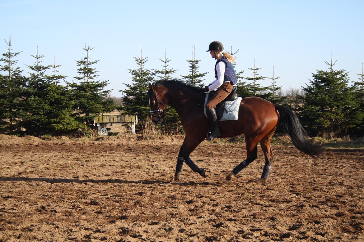 Oldenborg Narnio Roi - <3 billede 13