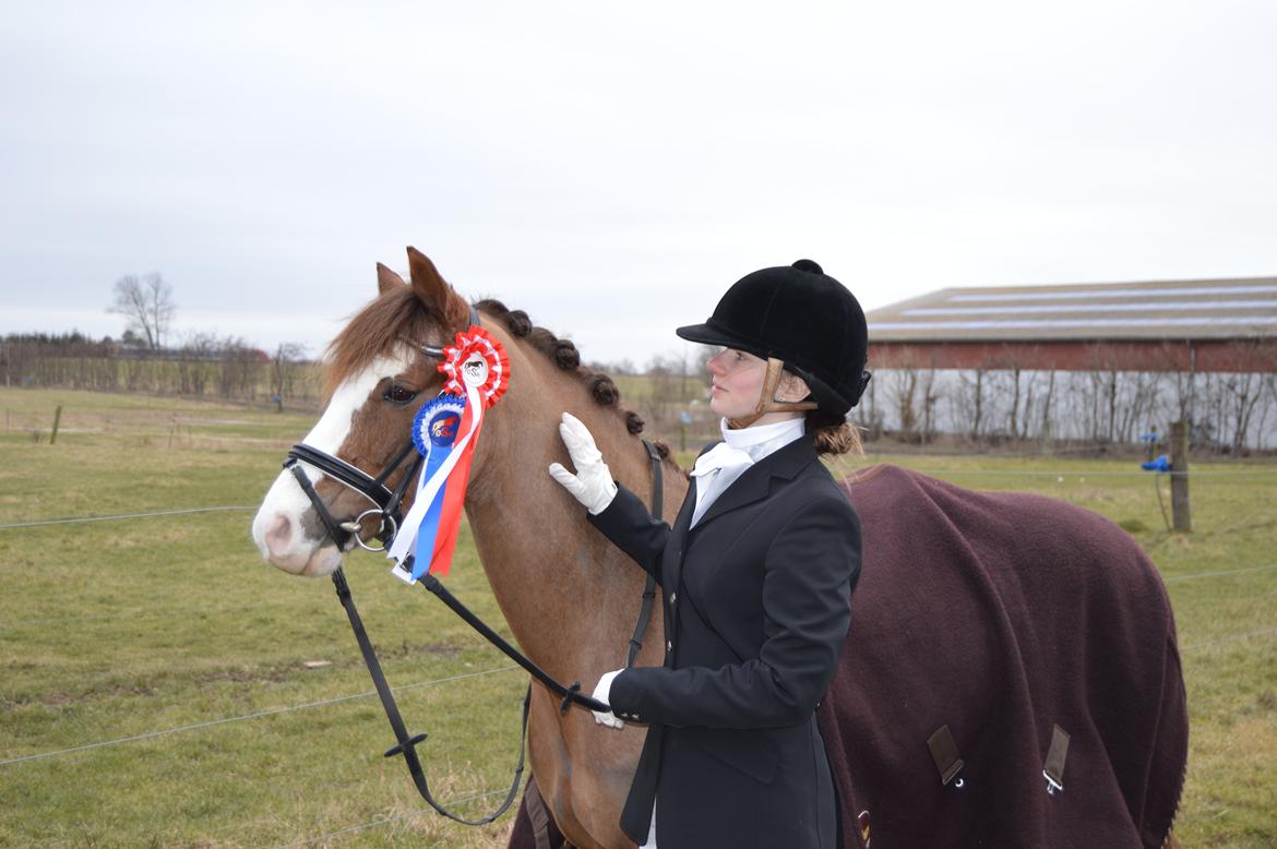 Anden særlig race McQueen solgt  - Stævne østsjællands rideklub  LA1 til 68,621% nr. 1 og LA2 til 66,875% og nr. 2 
Søde pony!<3 billede 4