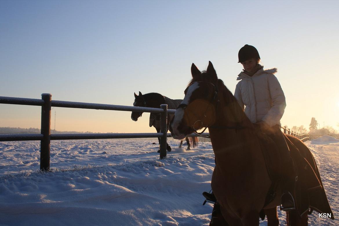Anden særlig race Power *savnet* billede 20