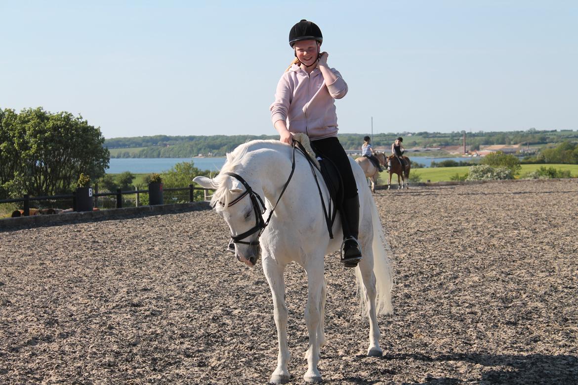 Anden særlig race Princess - Da vi var oppe og se/prøve hende første gang. billede 15