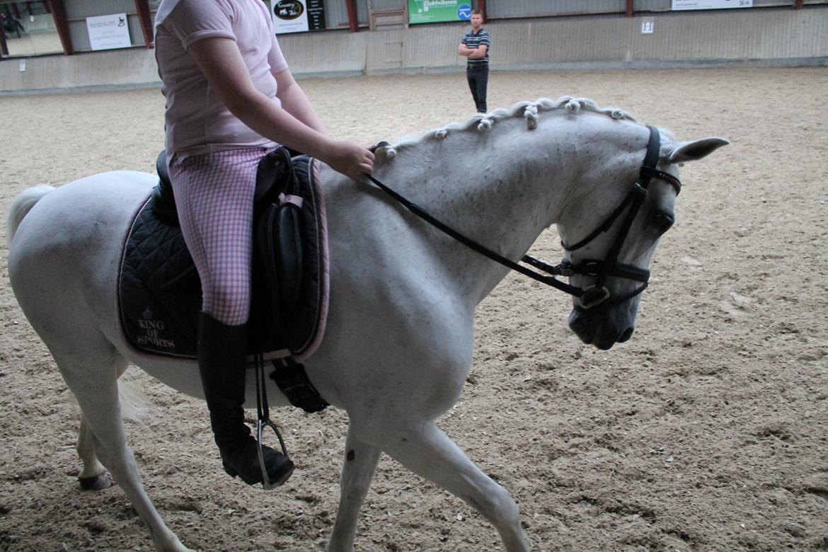Anden særlig race Princess - Undervisning hos Dennis Holst 1.gang (DSM) billede 17