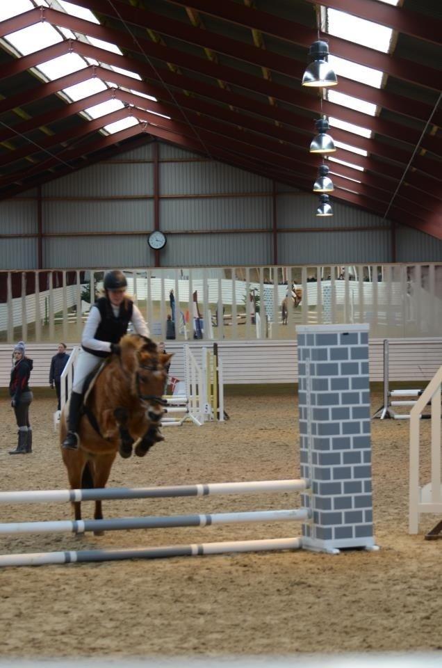 Anden særlig race Tulle p billede 5