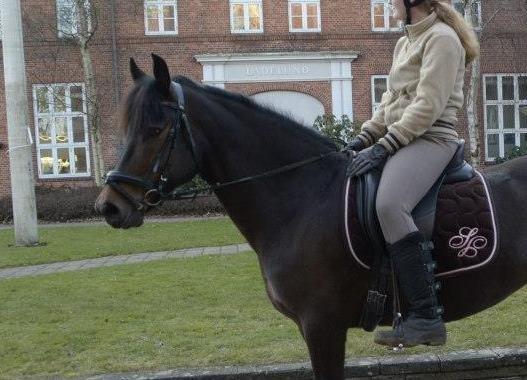 New Forest Elmholts Maritza <3  (Ritten) - Søøød :* billede 20