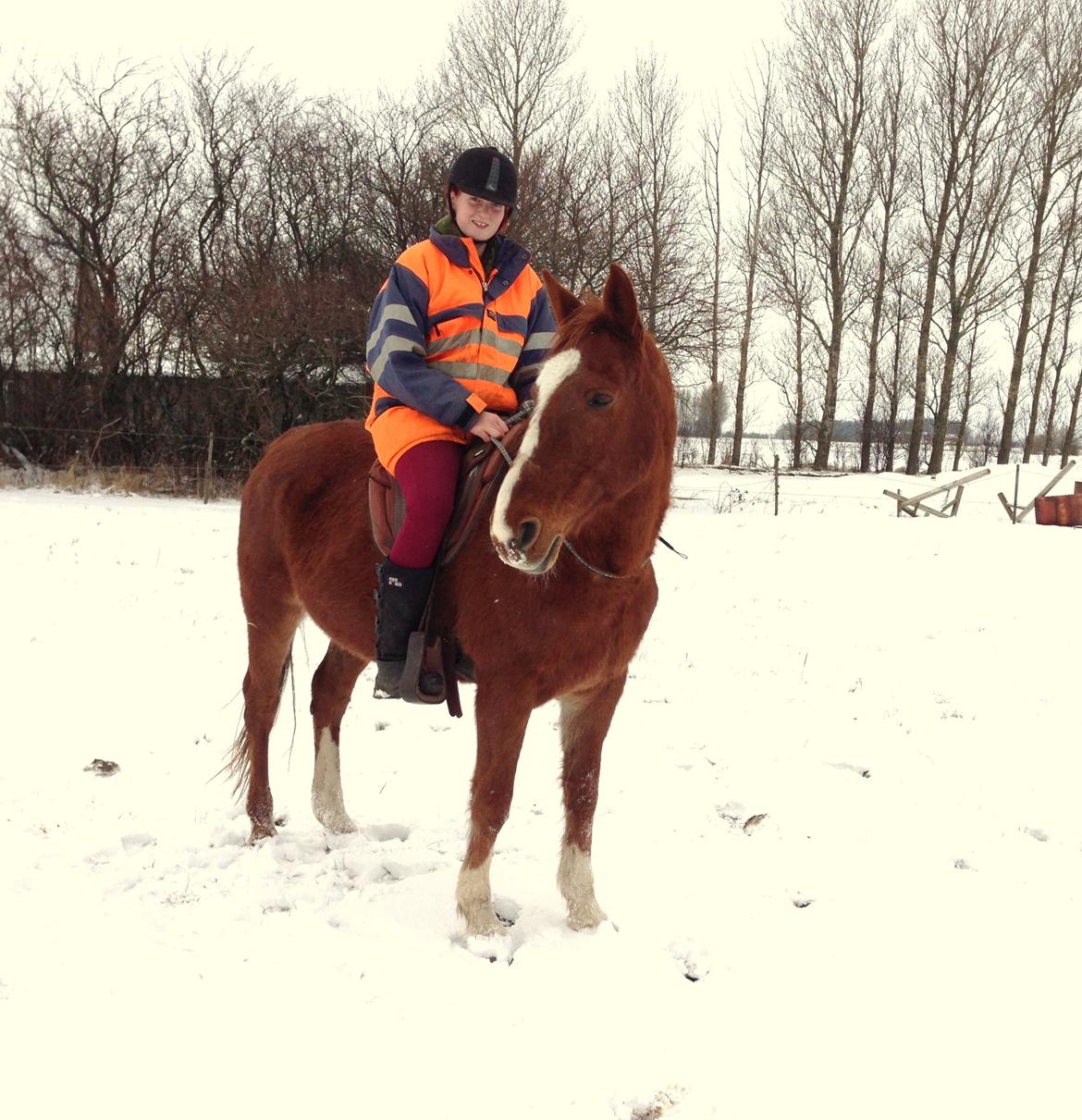 Frederiksborg Ferdinand - Dejlige bassemand <3 billede 20