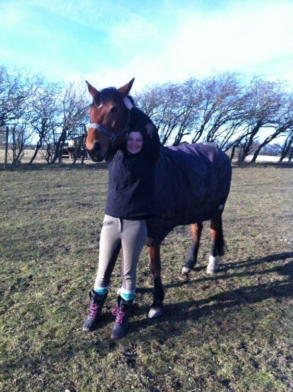 Dansk Varmblod Lucky Capana - Søde Luc'sen og jeg d 3/3 - 2013 billede 3