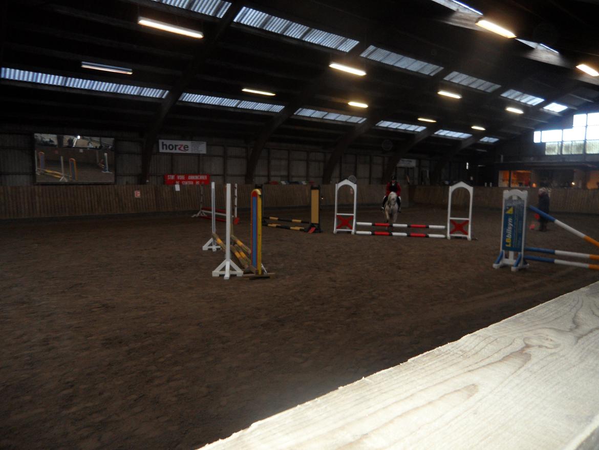 Anden særlig race Dixi *SOLGT* - Spring stævne oppe på
Mønterhøj Rideklub;) billede 12