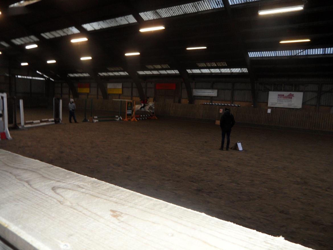 Anden særlig race Dixi *SOLGT* - Spring stævne oppe på
Mønterhøj Rideklub;) billede 13