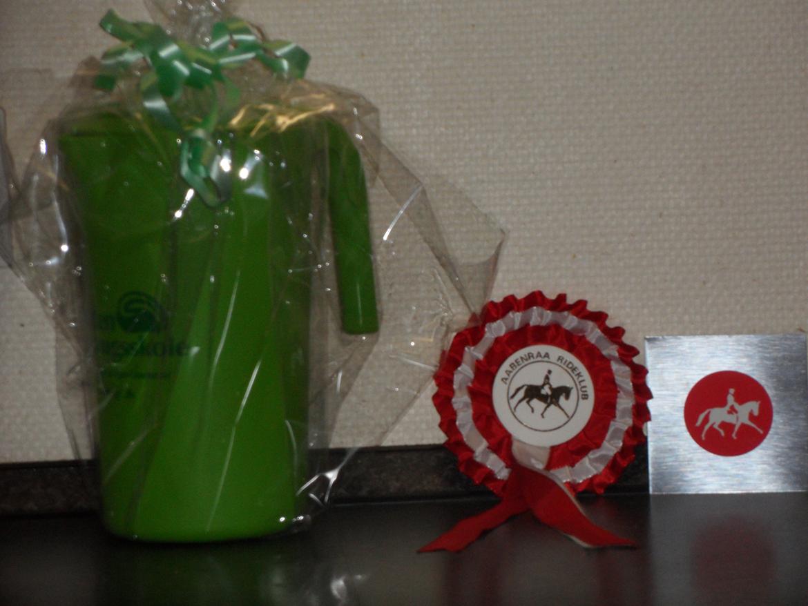 Anden særlig race Dixi *SOLGT* - Efter stævnet oppe på Mønterhøj Rideklub :D billede 15