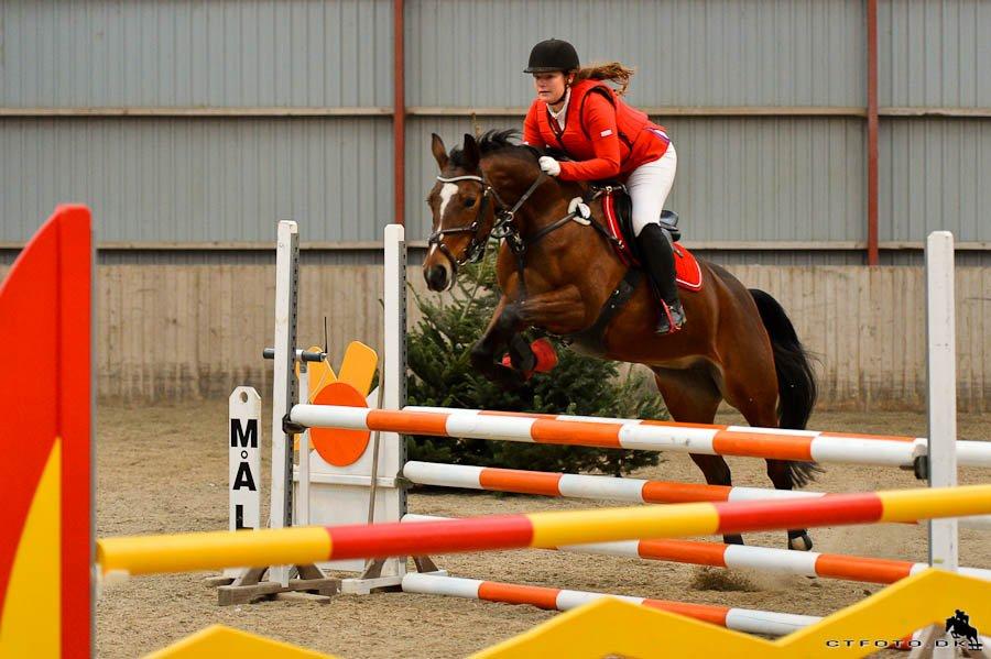Anden særlig race Lady <3 [MIN SKØNHED] - LD hos MBRK - med 3. plads. billede 4