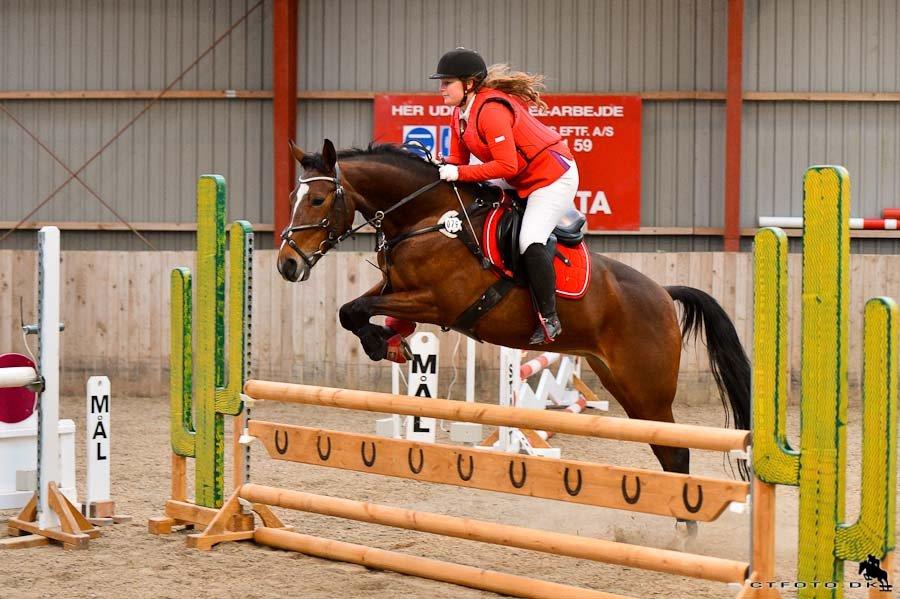 Anden særlig race Lady <3 [MIN SKØNHED] - LC hos MBRK. billede 5