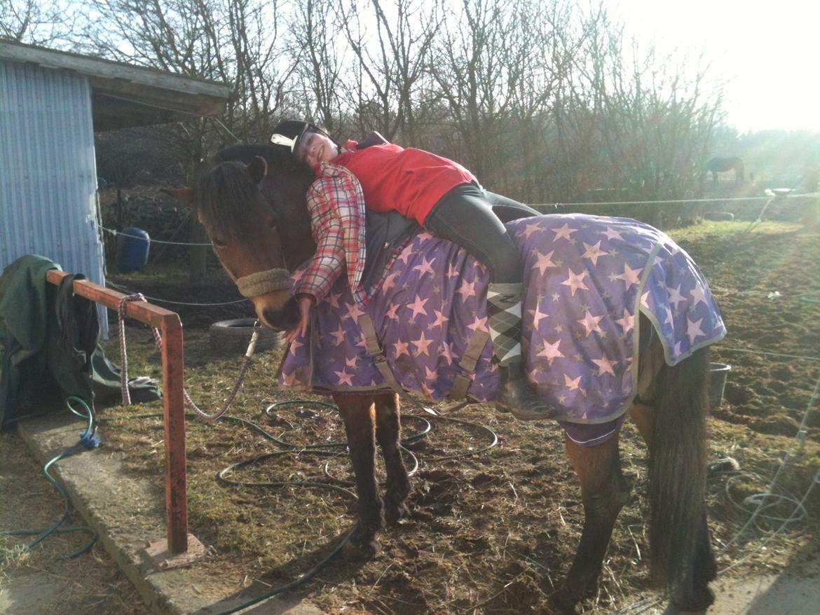 Anden særlig race • S.G.S. MISS BROWN • - Bruno nyder foråret! 5 marts 2013 billede 2