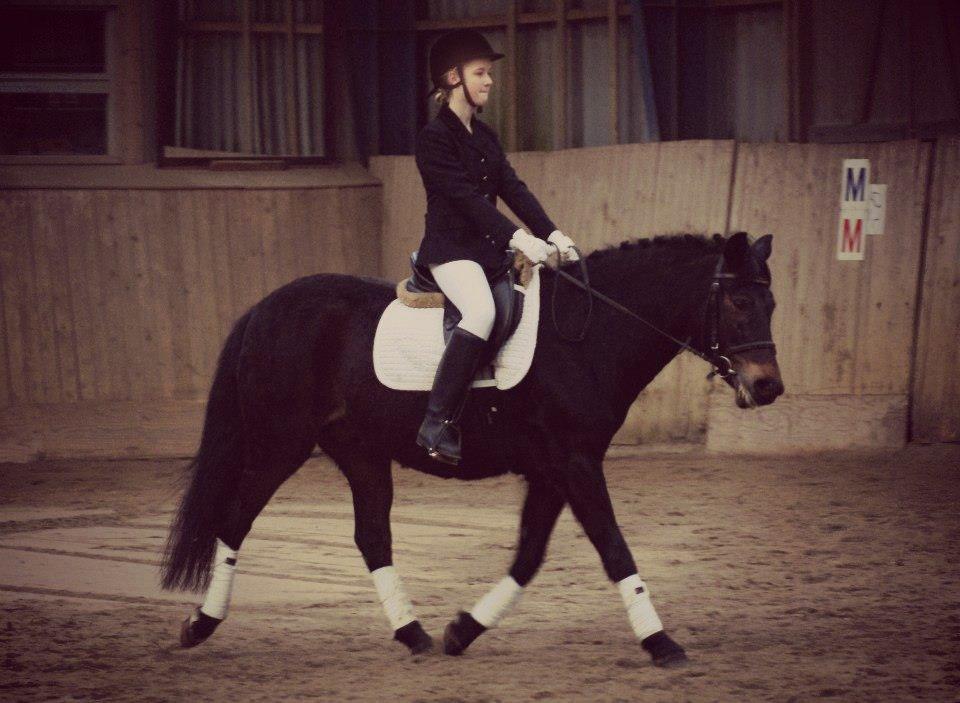New Forest Stenhøjgaards Amanda <3 - Til stævne.. Vandt en tredje plads i LD1 & LC1! Så stolt af min prinsesse! <3
 billede 3