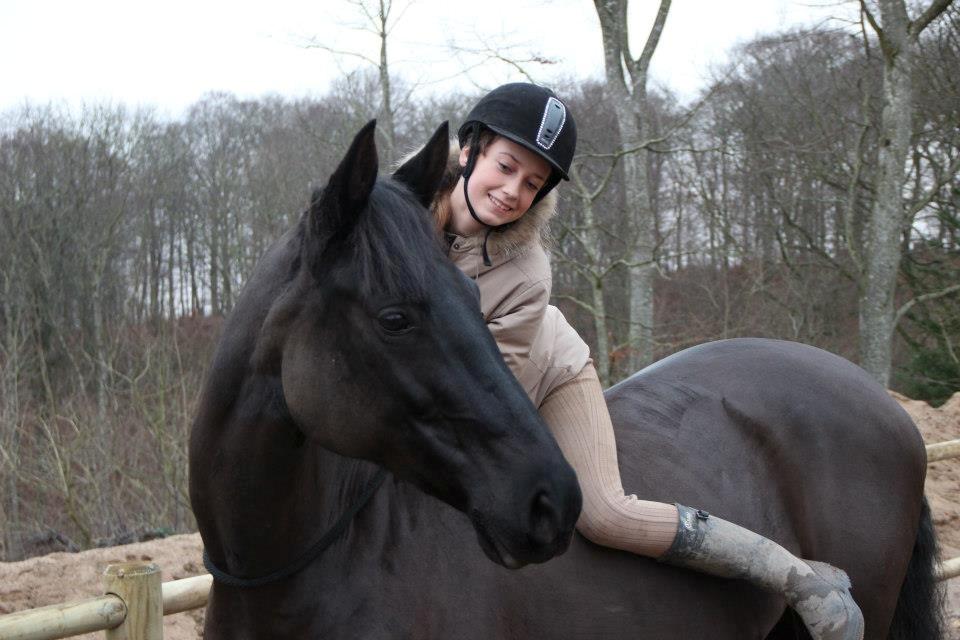 Dansk Varmblod Duchesse [Himmel hest] billede 13