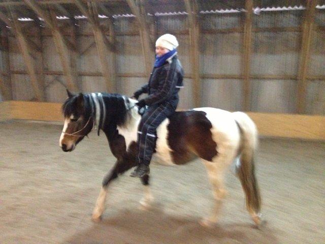 Pinto Bonita - Vi er total frelst ! Ingen bid, ingen sko, og ingen sadel ;) billede 17