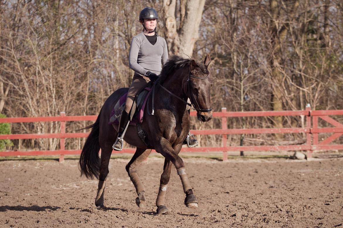 Anden særlig race Paskal - Marts 2013 - Palle og Anna billede 9