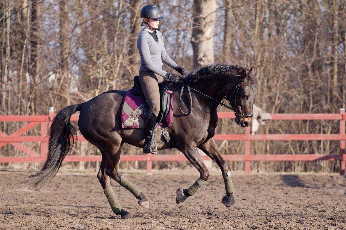 Anden særlig race Paskal - Marts 2013 - Palle og Anna billede 10